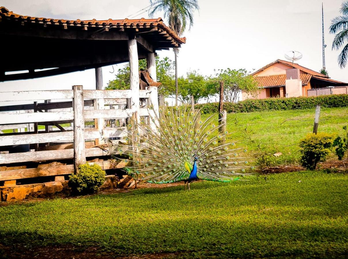 Pousada Casco De Ouro Miguelopolis Luaran gambar